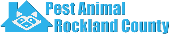 Rockland County Wildlife and Animal Removal